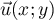 $\vec{u}(x;y)$