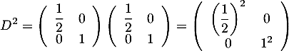 \[D^2=\lp\begin{array}{cc}\dfrac12&0\\0&1\enar\rp\lp\begin{array}{cc}\dfrac12&0\\0&1\enar\rp
  =\lp\begin{array}{cc}\lp\dfrac12\rp^2&0\\0&1^2\enar\rp\]