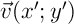 $\vec{v}(x';y')$